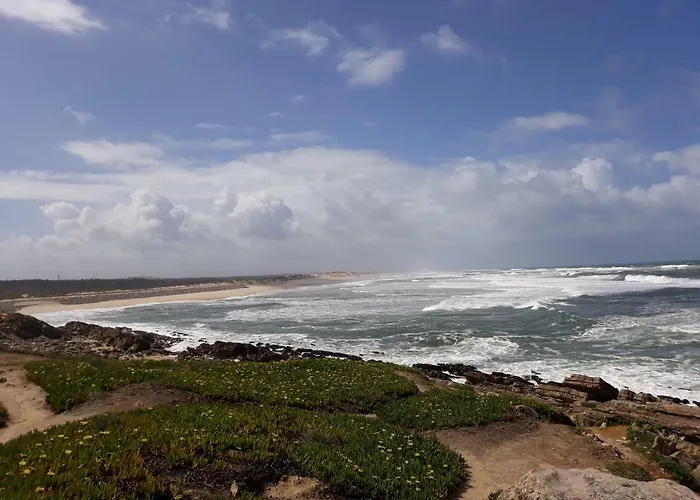 Do * Pedrogao (Leiria)